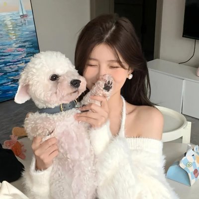 东游之白狐传